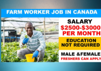 General Farm Worker jobs in Canada