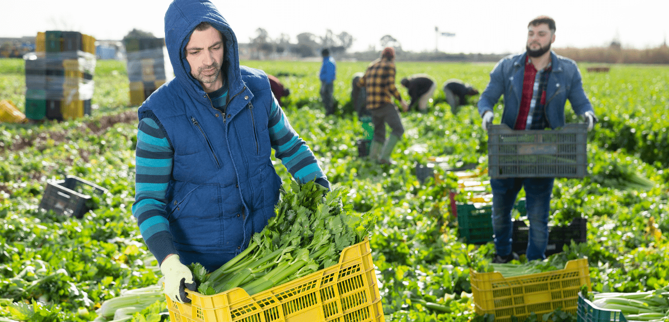 General Farm Worker Required in Canada