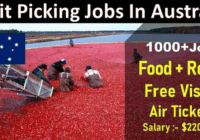 Farm Hand Jobs In Australia