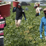 Cleaners Jobs In Malta