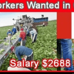 Factory Worker Jobs In Australia