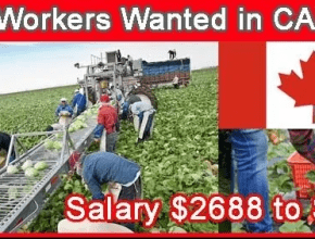 Farm Labourer Jobs in Canada