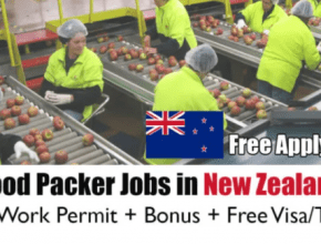 Factory Worker Jobs In New Zealand For Foreigners