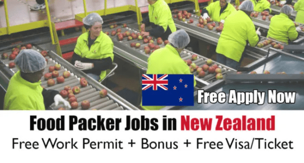Factory Worker Jobs In New Zealand For Foreigners