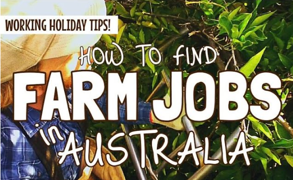 Farming Jobs In Australia For Foreigners