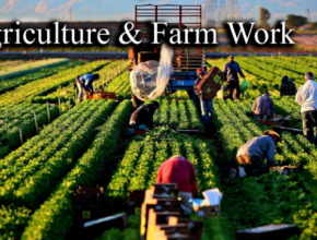 Farm Workers Jobs In Canada For Foreigners