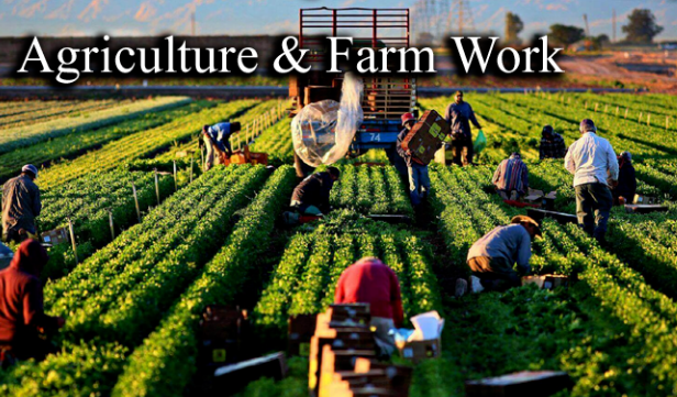 Farm Workers Jobs In Canada For Foreigners