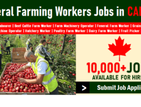 Seasonal Farm Worker Jobs In Canada