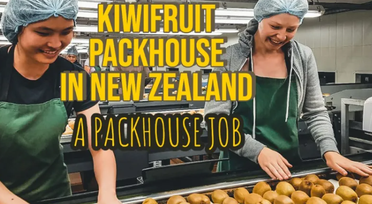 Pick & Pack Jobs In New Zealand