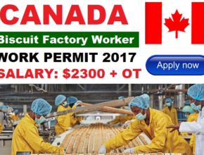 Factory Jobs in Canada