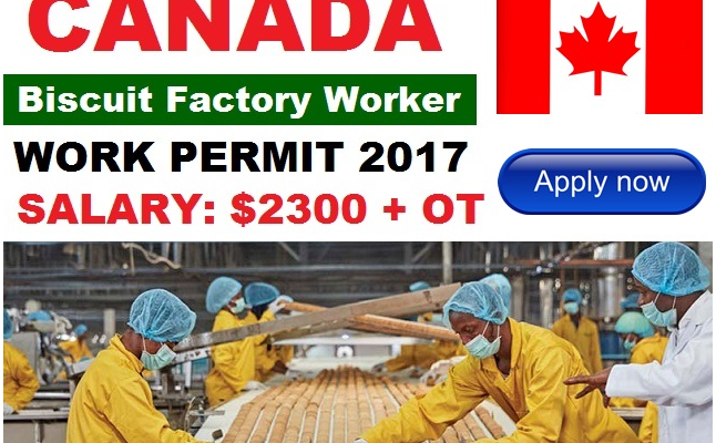 Community Development Worker Jobs In Canada