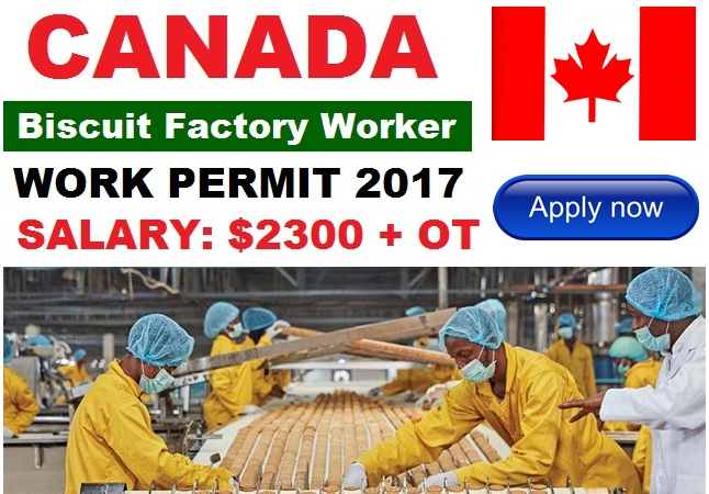 Factory Worker Jobs in Canada