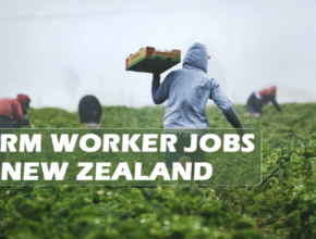 Farm Workers In New Zealand 2022