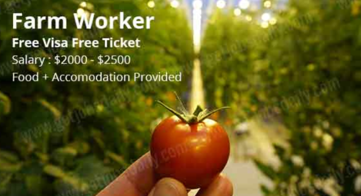 Farm Worker Jobs in Canada for Foreigners 2022