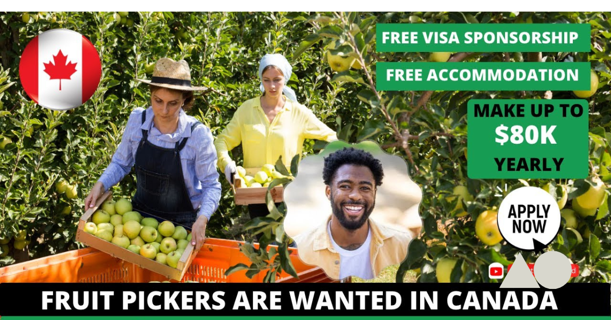 Fruit Picking Jobs in Canada With Free Visa Sponsorship