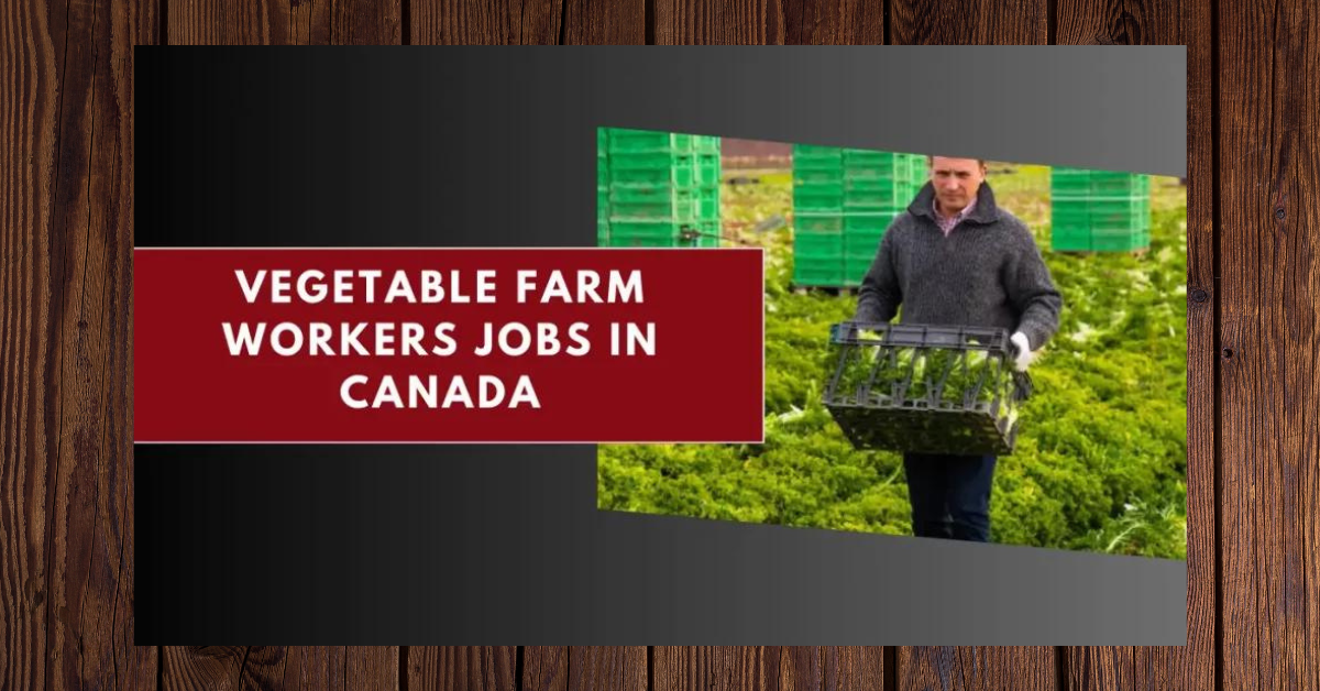 Vegetable Farm Workers Jobs in Canada 2024