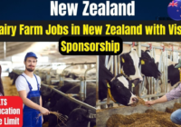 Jobs for Cow Farm Workers in New Zealand that Sponsor Visas