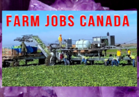 Agriculture Farming Jobs in Canada With Visa Sponsorship – May 2024