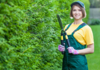 Open Gardener Jobs in Canada for Immigrants 2024