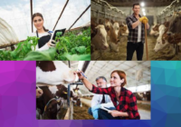 Agriculture Jobs in Luxembourg 2024