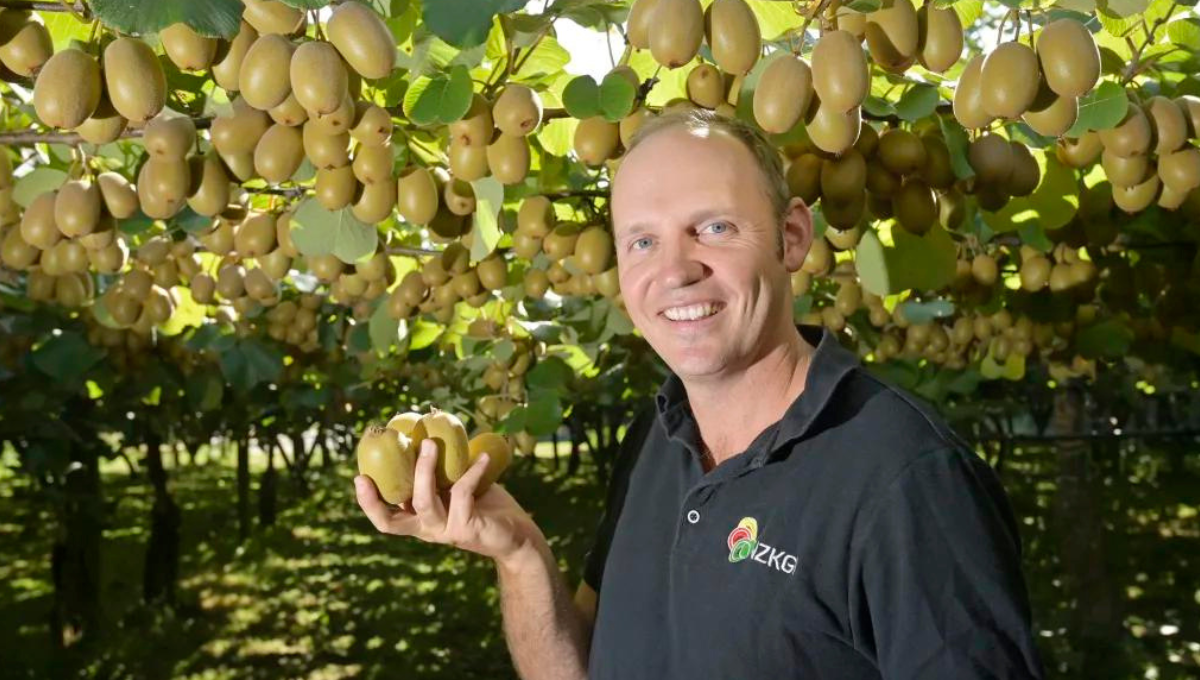 Kiwi Orchard Worker Jobs in New Zealand