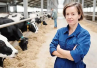 New Zealand Dairy Farming Opportunities