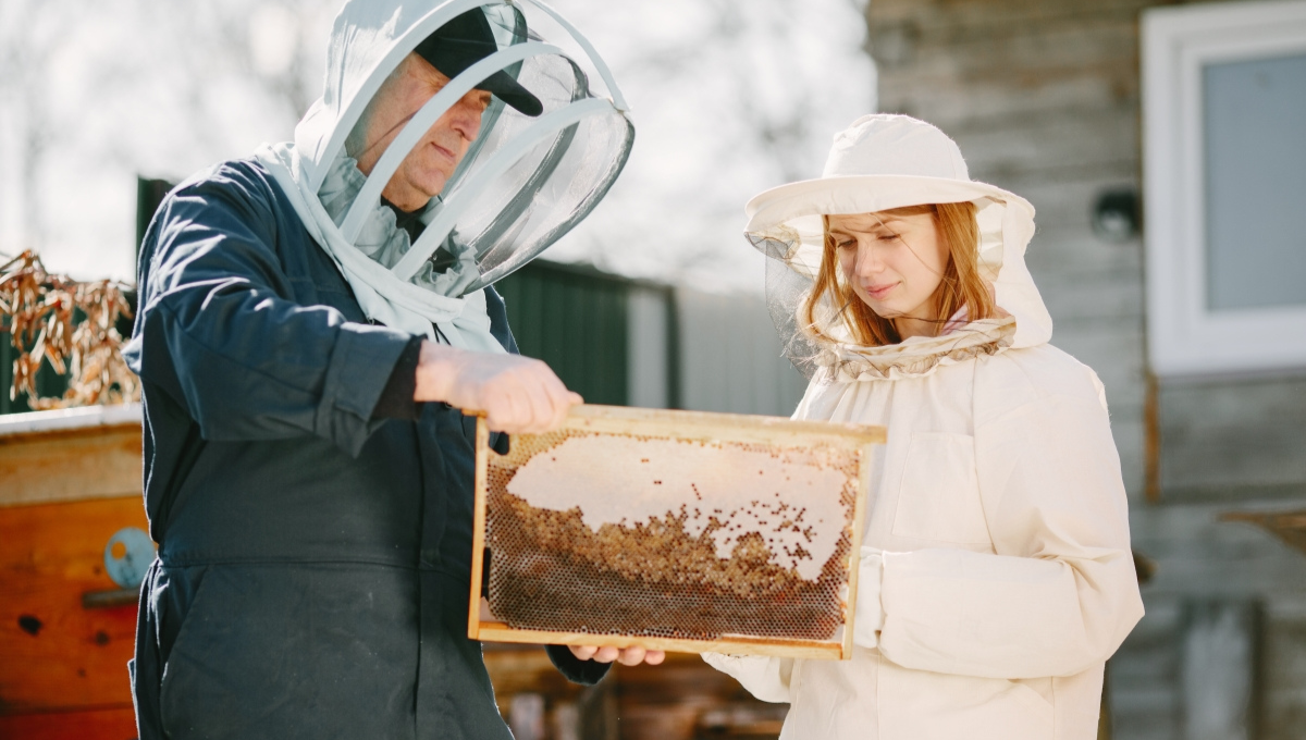 Apiary worker jobs in Canada for foreigners