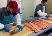 Fish Packing Jobs in Poland October 2024