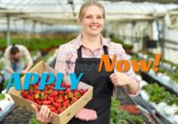 400+ Farm Worker Jobs General Farm Workers Jobs in Canada 