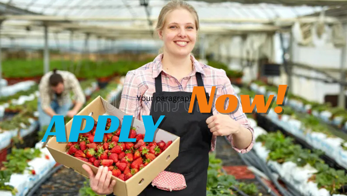 400+ Farm Worker Jobs General Farm Workers Jobs in Canada 