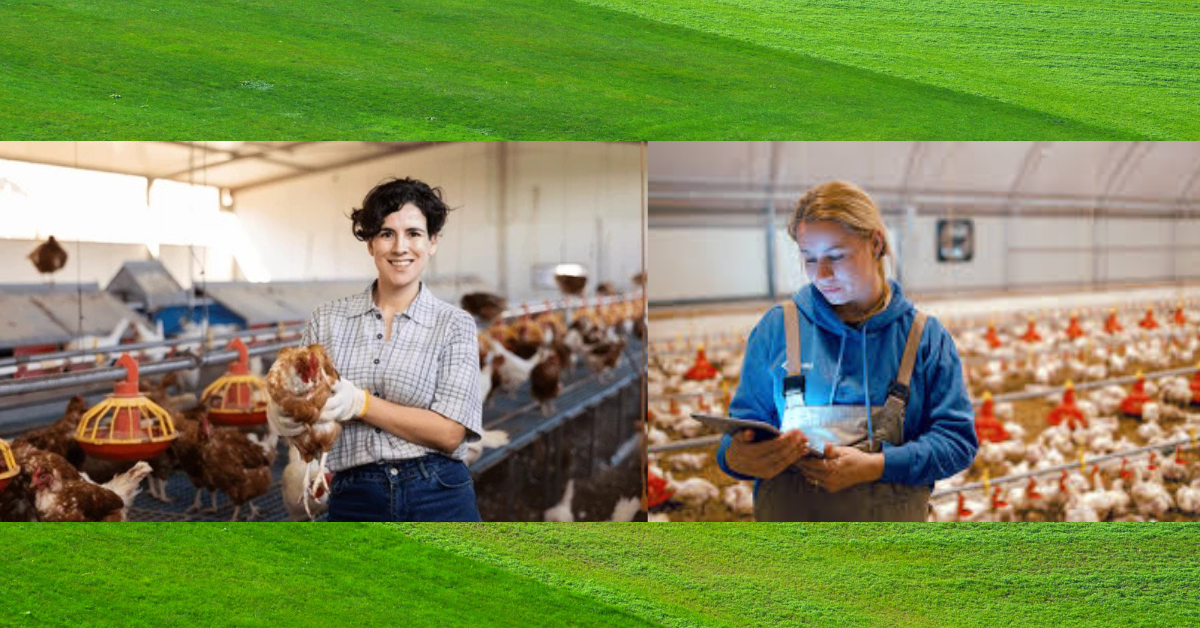 Poultry farm Jobs in United States January 2025